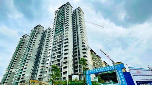 浩树cp最新动态爆料