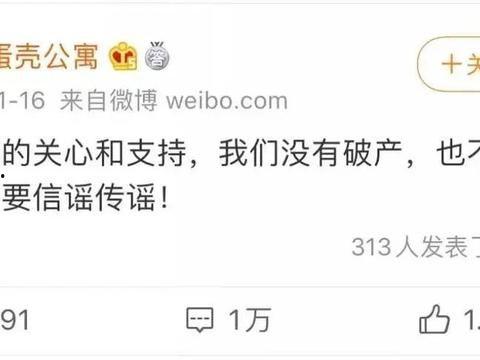 蛋壳最新爆料,揭秘行业黑幕，深度剖析蛋壳事件真相