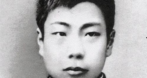 鲁迅最新爆料新闻视频下载,揭秘历史真相，引发社会热议